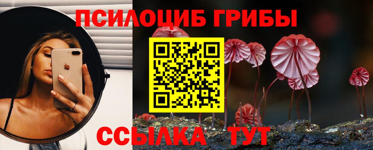 Амурск  Галлюциногенные грибы GOLDEN TEACHER  Вход с VPN 